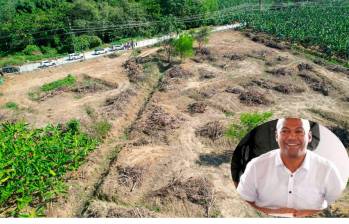 Este es el terreno que le cedió Felipe Cañizalez (en la foto) una empresa constructora en los últimos días de su mandato. FOTO CORTESÍA