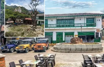 Durante los últimos días se ha hecho la tala paulatina del emblemático árbol. FOTO: imagen tomada de redes.