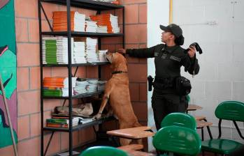 La requisa a las instalaciones escolares ayudada por perros es uno de los componentes de la campaña. FOTO: ALCALDÍA DE RIONEGRO