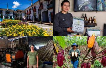 Las familias que el conflicto armado desplazó regresaron a sus tierras y hoy lideran los cultivos en alta calidad de café y cacao en el Oriente antioqueño. Foto: Julio César Herrera