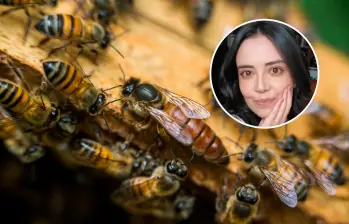 El ataque de abejas sobre Andrea del Pilar Fandiño Palacios ocurrió en zona rural del municipio de Ortega, Tolima. FOTOS: Archivo EL COLOMBIANO y tomada de redes sociales 