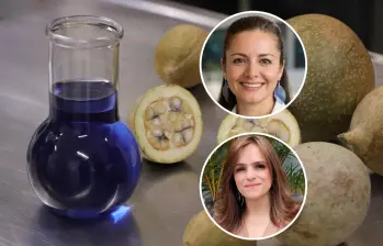 El desarrollo del azul de jagua fue posible gracias al trabajo conjunto de mujeres y hombres comprometidos con la creación de un colorante natural estable y poco común en la naturaleza. FOTO: Cortesía