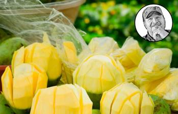 ¿Qué recuerdos llegan a su cabeza cuando ve mangos biches así? FOTO EL COLOMBIANO