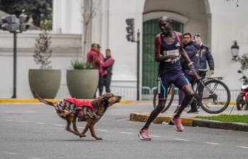 El keniano no pudo mantener el ritmo por preocuparse por el perro, lo que lo hizo desviarse y perder segundos con respecto a sus compañeros de carrera. FOTO: Twitter @scherargei