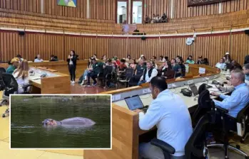 Adelante, uno de los hipopótamos que merodea en el Magdalena Medio antioqueño. Atrás los diputados de la Asamblea de Antioquia durante el debate. FOTO: Cortesía y EL COLOMBIANO