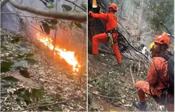 Un helicóptero turístico se estrelló este sábado en un sector boscoso y de difícil acceso en Río de Janeiro, provocando la muerte del piloto y tres ciudadanas colombianas. FOTO: AFP y captura de video de redes sociales