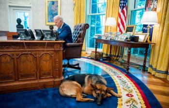 El lunes de la semana pasada Commander, el pastor alemán del presidente Joe Biden, mordió a un agente del Servicio Secreto de los Estados Unidos. FOTO CASA BLANCA