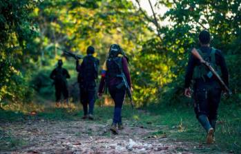 El departamento de Cauca está sumida en una crisis de orden público por los combates de las disidencias. Foto: JULIO HERRERA (Imagen de referencia)