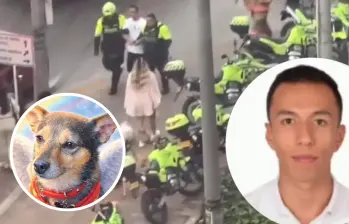 Este sujeto habría lanzado al perrito en medio de una discusión dentro de un apartamento del edificio en Bogotá. FOTO: Captura de video de redes sociales @PlataformaALTO y cortesía Corazón Animal Vegano