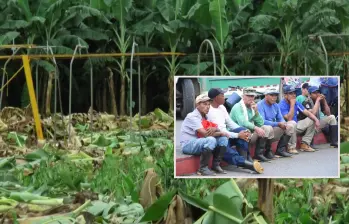 Adelante, un cultivo bananero del Urabá. Al lado, trabajadores de la zona. FOTO: Cortesía e imágenes de Sintrainagro