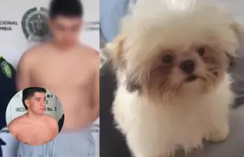 A la izquierda Mora, el presunto responsable. A la derecha Princesa, la perrita que murió tras ser lanzada. FOTOS: REDES SOCIALES.