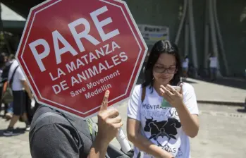 Los colectivos animalistas de El Santuario buscan que se frenen los recientes hechos de violencia contra los animales. FOTO: ARCHIVO