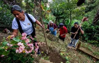 La Corporación Huerta Escuela Esther Vásuqe está ubicada en la Carrera 28 # 107 - 661 (Interior 1012) en lo alto del barrio Santo Domingo Savio. FOTO: Julio César Herrera.