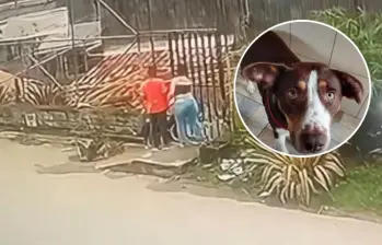 El hecho quedó registrado en video donde se puede ver cómo un hombre y una mujer arriban en un vehículo hasta las afueras de un albergue. FOTO: Cortesía Alcaldía de La Estrella