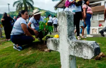 En el cementerio de Dabeiba fueron sembrados tres guayacanes en memoria de las víctimas desaparecidas e inhumadas en el cementerio de ese municipio. FOTO: Camilo Suárez.