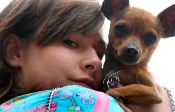 Los animales deben ser protegidos especialmente en esta temporada por las afectaciones de la pólvora. IMAGEN DE REFERENCIA: JUAN ANTONIO SÁNCHEZ