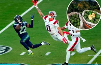 El aguacate Hass colombiano no brilló en el Super Bowl 2026. Este año 95 de cada 100 aguacates consumidos fueron mexicanos. FOTO GETTY COLPRENSA. 