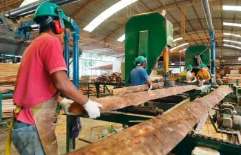 Terminales estratégicas proyectadas en Urabá como Puerto Cirilo se verían gravemente afectados por esta resolución del Ministerio de Medio Ambiente que les restringe la exportación de madera. FOTO: Cortesía