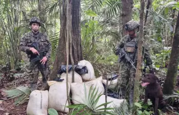 Un perro entrenado fue clave para encontrar los bultos con los explosivos en la selva. FOTO: CORTESÍA DEL EJÉRCITO.