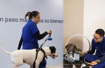 El centro integra espacios de fisioterapia, hidroterapia y atención clínica especializada para animales de compañía, ubicado en la Avenida Las Palmas. FOTOS cortesía Bivett