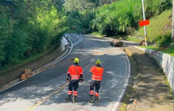 Tres días podría tardar la remoción del material que cayó sobre la vía. FOTO: MANUEL SALDARRIAGA