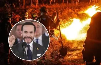 El presidente verificará en terreno las operaciones contra los incendios activos en Tolima. FOTO: Bomberos de Bogotá / Colprensa
