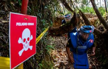 Las víctimas cayeron en un campo minado instalado por grupos armados ilegales en Tibú, Norte de Santander. FOTO DE REFERENCIA: JULIO CÉSAR HERRERA.