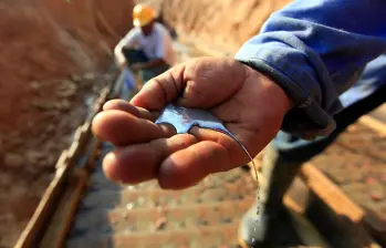 El mercurio es el principal químico para lograr el mayor aprovechamiento del oro. Es usado pese a la prohibición para su comercialización desde 2013. FOTO: MANUEL SALDARRIAGA