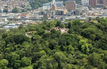 Panorámica del Cerro Nutibara en pleno centro de Medellín. Foto: Andrés Camilo Suárez Echeverry