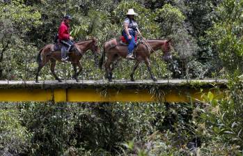 Imagen de referencia de campesinos en Antioquia. Foto: Manuel Saldarriaga Quintero