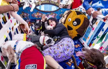 Las inscripciones para la Fiesta de la Pereza en el municipio de Itaguí estarán abiertas hasta el 9 de agosto. Foto: Jaime Pérez Munévar