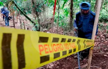 La petición es que se desplace personal especializado a hacer un diagnóstico y capacitar a la comunidad para prevenir. FOTO: JULIO CÉSAR HERRERA