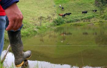 Los recursos que pueden comprometerse están destinados a la construcción de viviendas de interés social campesinas. FOTO ARCHIVO 