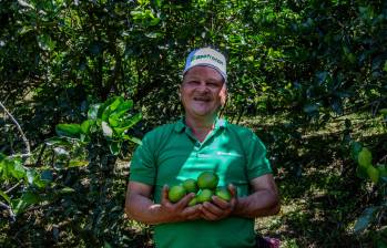 La Asociación trabaja actualmente con cerca de 20 productores ubicados en Uramita, Frontino, Cañasgordas y Dabeiba. FOTO Julio César Herrera