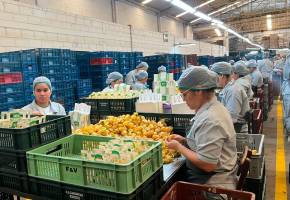 La Gobernación de Antioquia amplió el programa Más Empleo para las Mujeres en Antioquia a las nueve subregiones del departamento, con incentivos para que más empresas contraten mujeres y contribuyan a reducir las brechas laborales. FOTO cortesía Secretaría de las Mujeres