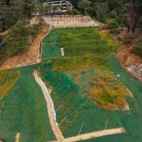 La fase final de los trabajos consistió en el restablecimiento de la vegetación para ayudar a darle estabilidad al terreno. FOTO: ALCALDÍA