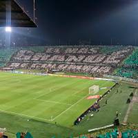 Los hinchas de Atlético Nacional, por lo general, suelen acompañar de manera masiva a su equipo, sobre todo cuando juega finales. Foto: Juan Antonio Sánchez