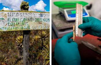 El trabajo en campo y las investigaciones en laboratorio ayudaron al avance de la ciencia hecha por colombianos. Foto: EL COLOMBIANO