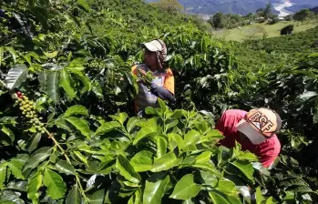 Colombia logró una reducción histórica del desempleo y completó año y medio generando puestos de trabajo. Sin embargo, el motor principal sigue siendo el trabajo por cuenta propia. FOTO: Manuel Saldarriaga.