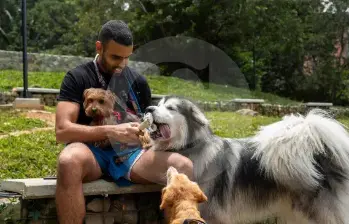 Estudios de Euromonitor proyectan que el gasto total en mascotas en Colombia llegará a $6,1 billones de pesos en 2026, lo que refleja la importancia económica de este sector. FOTO: Camilo Suárez.
