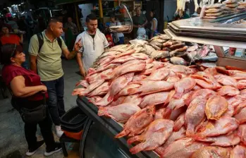 Comerciantes advierten que el encarecimiento del camarón importado podría sentirse en los próximos días. FOTO: Manuel Saldarriaga