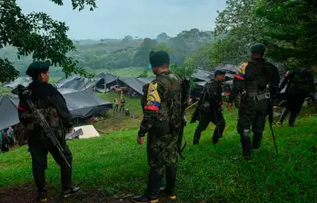 Así es la peligrosa alianza de los carteles mexicanos con los disidentes en el Cauca