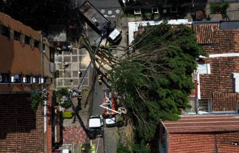 El árbol, que se encontraba en el barrio estadio en el sector El Velódromo, cayó repentinamente sobre una vivienda alrededor de las 2:00 a.m. Foto: Manuel Saldarriaga Quintero.