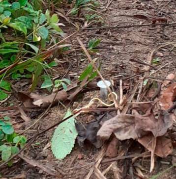 Este fue uno de los artefactos explosivos instalados en las comunidades indígenas Emberá. FOTO: Cortesía. 