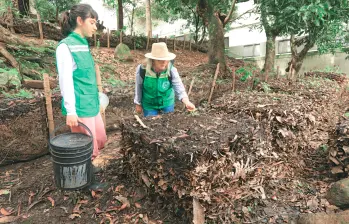 En la urbanización Loyola llevan alrededor de dos años haciendo pacas. Han tenido sus altibajos pero han obtenido buen resultado. FOTO: Esneyder Gutiérrez