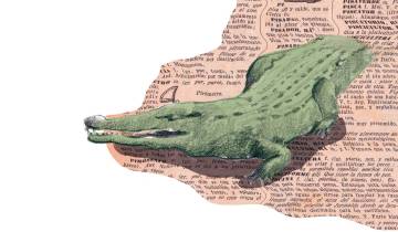 Los cocodrilos son de los grandes peligros de los ñus. Ilustración Laura Ospina