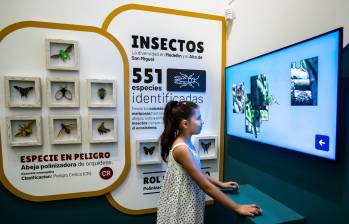 La Casa de la Ciencia se convierte en un referente de educación ambiental en Medellín. FOTO: Jaime Pérez