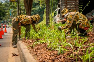 La recuperación de los jardines fue una de las tareas urgentes de la administración de Federico Gutiérrez. Foto: Cortesía