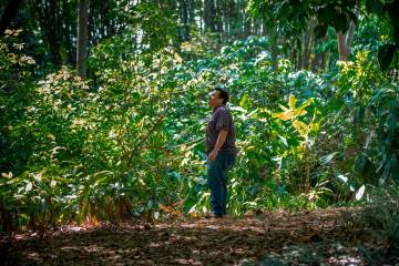 Álvaro Idárraga es el líder del Herbario del Jardín Botánico de Medellín. Foto: Camilo Suárez. 