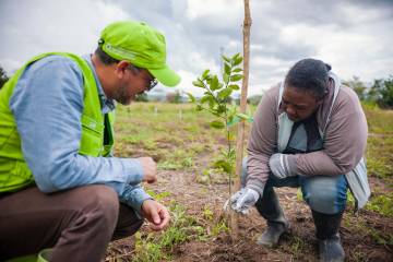Uno de los casos de éxito es el del Banco Agrario, el cual ha venido promoviendo la conservación del medio ambiente a través de líneas de créditos verdes. FOTO CORTESÍA
